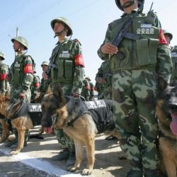 Кытай чек араларын бекемдеп жатат