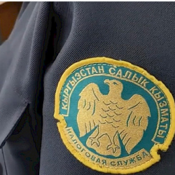 Жыл башынан бери 53 салыкчы жоопкерчиликке тартылган