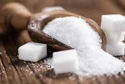 Кант өндүрүшү: ички рынок жана экспорт мүмкүнчүлүктөрү каралды