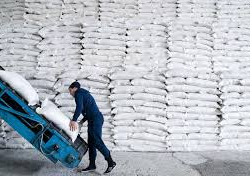 Обсуждены вопросы устойчивости и развития сахарной отрасли