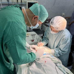 В НЦОМиД детям выполнены высокотехнологические операции