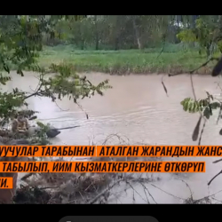 Спасатели обнаружили тело гражданина упавшего в БЧК