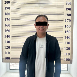 Ошто документ жасалмалоого шектелген нотариус жана ортомчулар кармалды