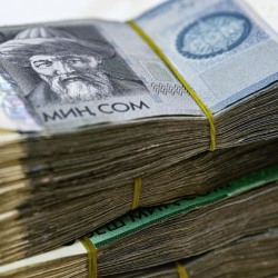 Граждане Кыргызстана, работавшие в Корее, получают единовременные выплаты