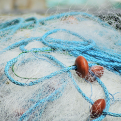 Кытайдан тыюу салынган балык торлорун алып кирүү аракети токтотулду