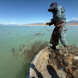 Токтогул суу сактагычынан 7 миң метр тор чыгарылды