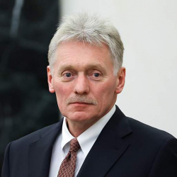 Песков прокомментировал визит лидеров недружественных стран в Москву на 9 Мая