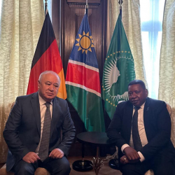 Элчи Өмүрбек Текебаев Намибиянын Элчиси менен жолугушту