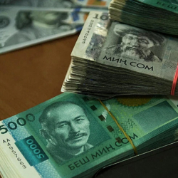 Бажыдагы мыйзам бузуулардан 277 млн сом зыян өндүрүлдү