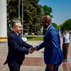 Жээнбек Кулубаев встретился с главой МИД Того Робертом Дюссе