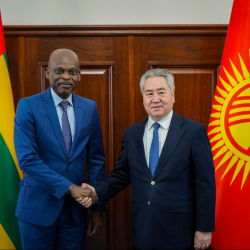 Министр Кулубаев Тоголез Республикасынын тышкы иштер министри менен жолугушту