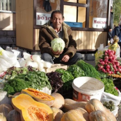 Кыргызстанда азык-түлүктүн баасы 10,8% өстү