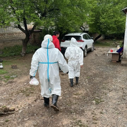 Алайда селден кийин жугуштуу оорулардын алдын алуу боюнча чаралар күчөтүлдү