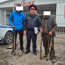 Ошто 5 жаран мыйзамсыз сактаган куралын тапшырды