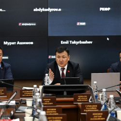 Исламдык каржылоону жөнөкөйлөтүү пландалууда. Жарандык кодекске өзгөртүүлөр үчүнчү окуудан өтүүдө