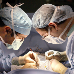 В Минздраве КР обсудили вопросы развития трансплантации и помощи пациентам с заболеваниями печени