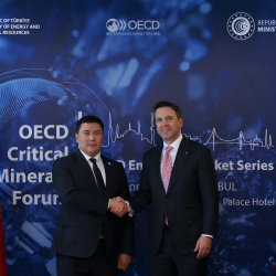 Глава Минприроды КР принял участие в форуме ОЭСР в Турции