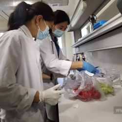 Анализди туура эмес чыгарып берген лабораторияларды жабуу сунушталды