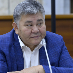 Чылым чеккен экс-депутат Эльмурза Сатыбалдиевге айып пул салынды