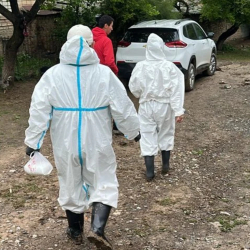 Сел жүргөн аймактарда санитардык-эпидемиологиялык абал туруктуу – министрлик