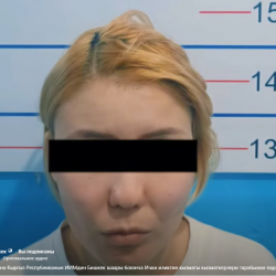 ВИДЕО - Бишкекте милиция кызматкерине пара берүүгө шектүү аял кармалды