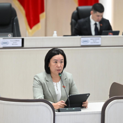 Депутат Айгүл Карабекова ата мекендик өндүрүүчүлөрдү колдоо маселесин көтөрдү