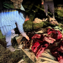 Нарында мыйзамсыз теке аткандарга айып салынды