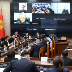 Турак жайларды табигый кырсыктардан милдеттүү камсыздандыруу боюнча мыйзам долбоору колдоо тапты