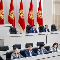 Жогорку Кеңеште баалардын өсүшү боюнча парламенттик угуу өткөрүлдү