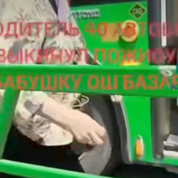 Водитель вытолкнул женщину из автобуса в Бишкеке