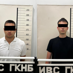 Ветеринардык кызматта коррупциялык схема аныкталды