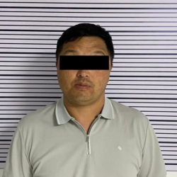 ГКНБ выявил в Таласской области коррупционные схемы в сфере лесного хозяйства