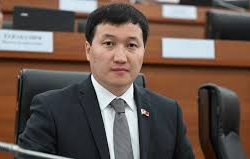 Депутат абакта төрөлгөн наристелердин келечегине тынчсызданды