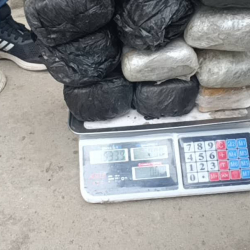 Баткенде мыйзамсыз жүгүртүүдөн 33 килограммдан ашык гашиш алынды