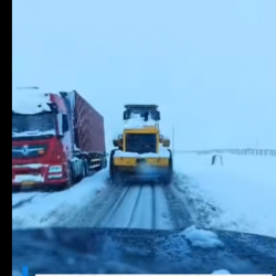ВИДЕО - Балыкчы-Нарын-Торугарт унаа жолуна кар жаады