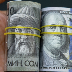8-июнга карата доллардын баасы