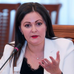 Наталья Никитенко назначена директором «Центра развития парламента и демократии»