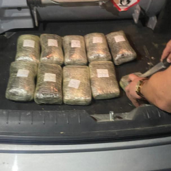 В Баткенской области пресечена попытка незаконной перевозки почти 10 кг гашиша