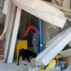 По меньшей мере 35 человек погибли в результате сильного землетрясения на юге Филиппин