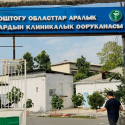 Ошто балдардын өлүмүн азайтуу боюнча чаралар талкууланды
