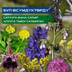 Баалуу өсүмдүктөрдү пайдаланууга мораторий 2027-жылга чейин созулат