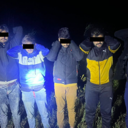 Кыргызстанда 18 пакистандык жаран соттолуп, бири киши өлтүрүп өмүр бою кесилген