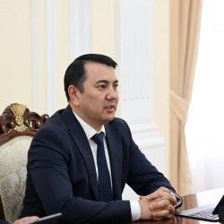 Маматалиев сравнил Жапарова со львом, а Ташиева, Нурланбека Тургунбек уулу и Зулушева — с шакалами