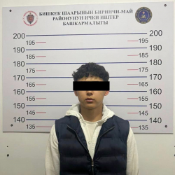 Синтетикалык баңгизаттарды «кыстырма» жолу менен тараткан студент кармалды