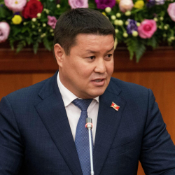Талант Мамытов төрагалык кызматтан эмне себептен кеткенин билдирди