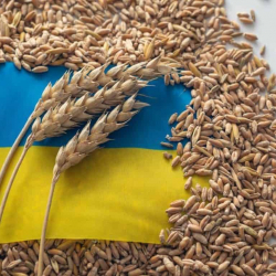 Украинанын дан экспорту дүйнөлүк азык-түлүк коопсуздугуна таасирин тийгизет
