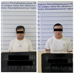 ГКНБ КР пресек международный канал незаконной миграции в Ошской области