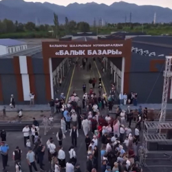 Балыкчы шаарында жаңы балык базары ачылды