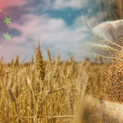 Китай готов содействовать двусторонней торговле сельскохозяйственной продукцией с США