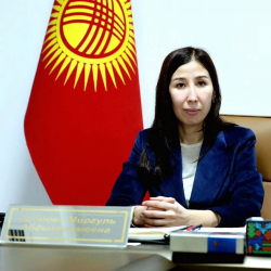 Манас шаарынын мэринин орун басары кызматтан бошотулду